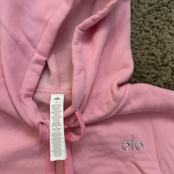 COPY - Alo Accolade Hoodie Sweet Pink - Picture 4 of 6